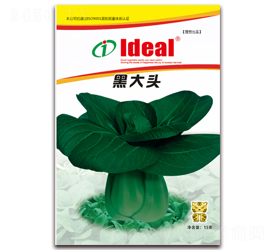 黑大頭-小白菜種子-理想農(nóng)業(yè)
