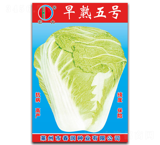 早熟5號(hào)-白菜種子-春潤(rùn)種業(yè)