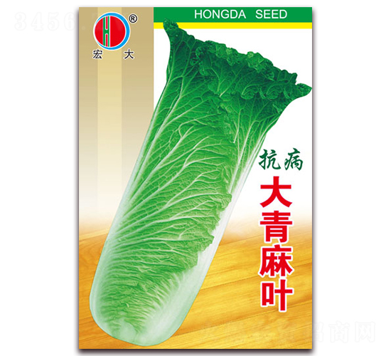 大青麻葉-白菜種子-春潤種業(yè)