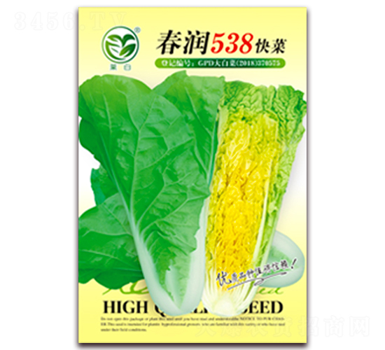 春潤538快菜-白菜種子-春潤種業(yè)