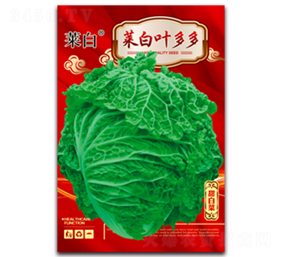 菜白葉多多-白菜種子-春潤種業(yè)