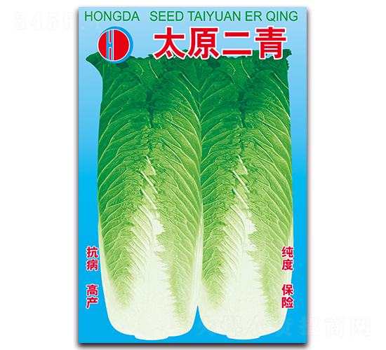 太原二青-白菜種子-春潤種業(yè)
