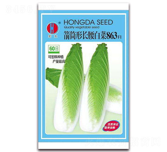 箭筒形長腰白菜863-白菜種子-春潤種業(yè)