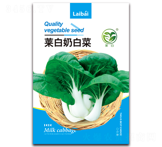 萊白奶白菜-白菜種子-春潤(rùn)種業(yè)