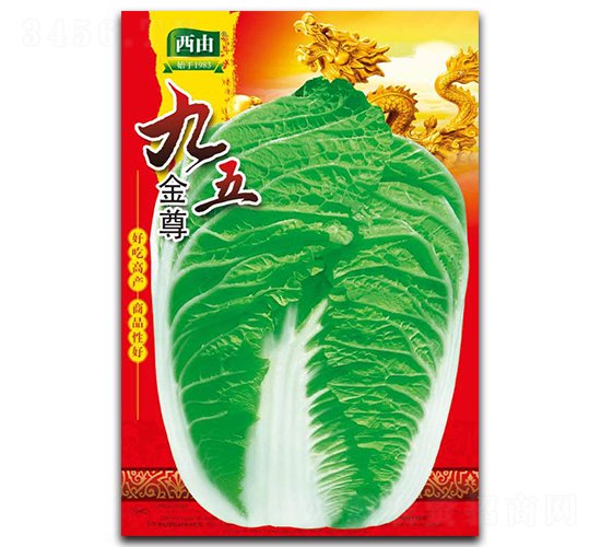 九五金尊-白菜種子-西由