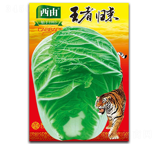 王者歸來-白菜種子-西由