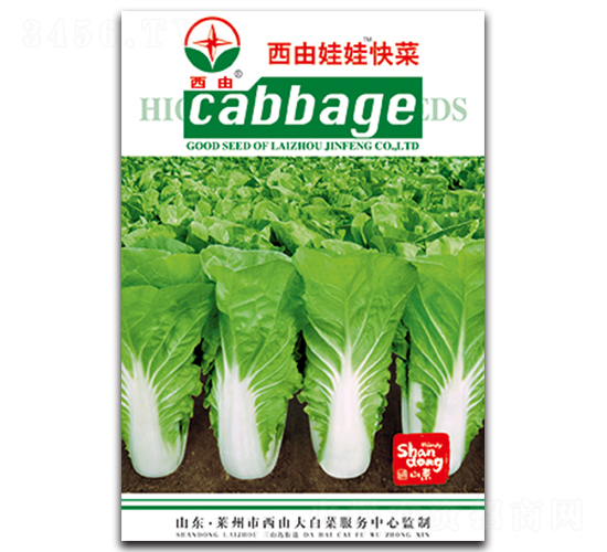 西由娃娃快菜-白菜種子-西由