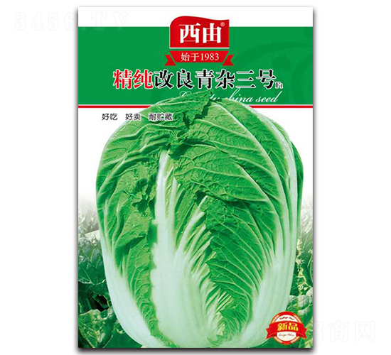 青純改良青雜三號-白菜種子-西由