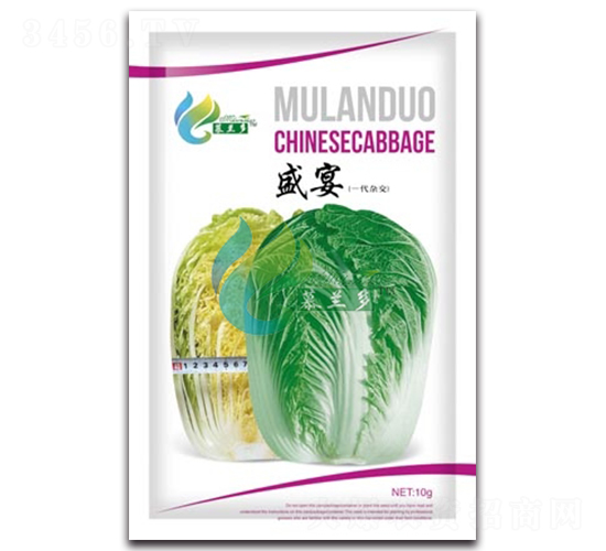 盛宴-白菜種子-慕蘭多