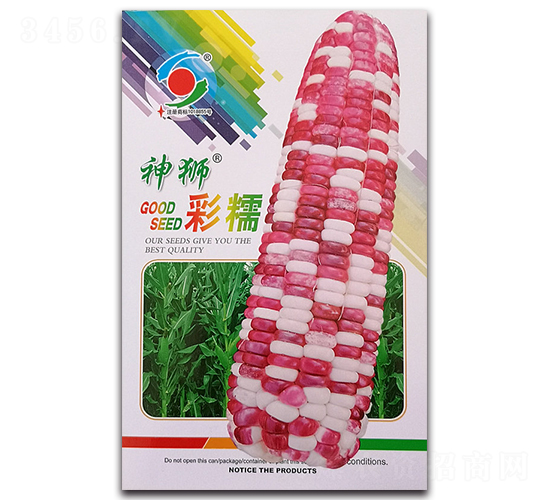 神獅彩糯-糯玉米種子-新世紀