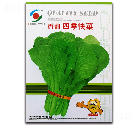 香甜四季快菜-白菜種子-新世紀