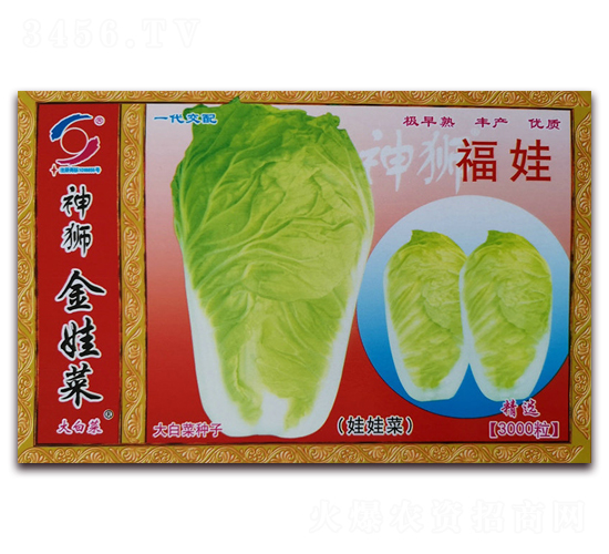福娃-娃娃菜種子-新世紀(jì)