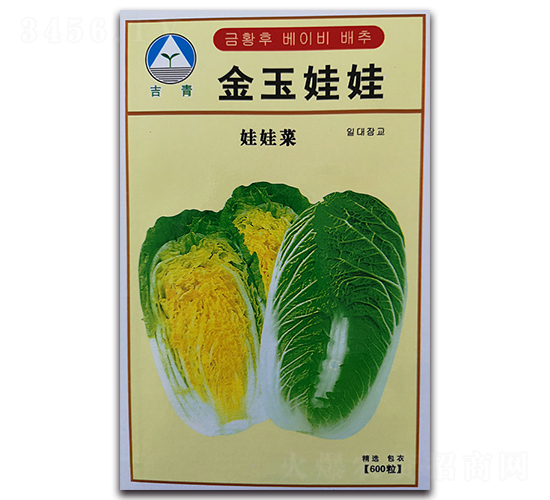金玉娃娃-娃娃菜種子-新世紀