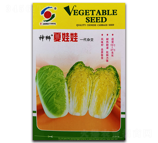 神獅夏娃娃-娃娃菜種子-新世紀(jì)
