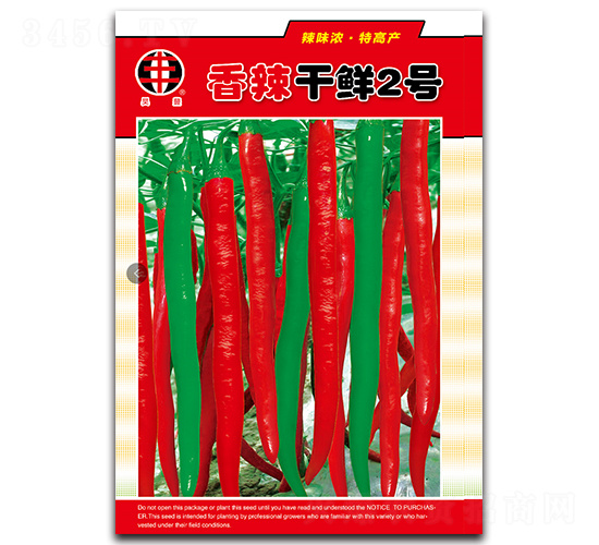 香辣干鮮2號(hào)-辣椒種子-金凱瑞