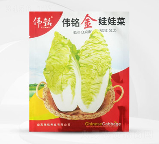 偉銘金娃娃菜-娃娃菜種子-偉銘種業(yè)
