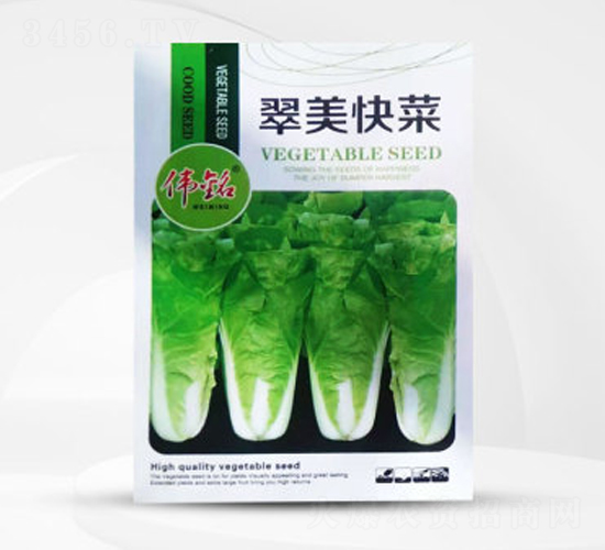 翠美快菜-白菜種子-偉銘種業(yè)