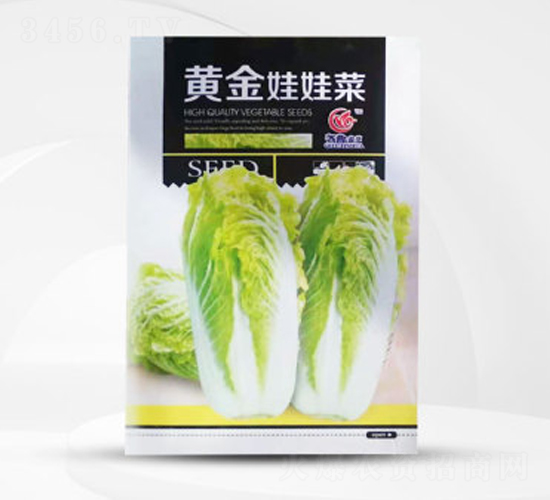 黃金娃娃菜-娃娃菜種子-偉銘種業(yè)