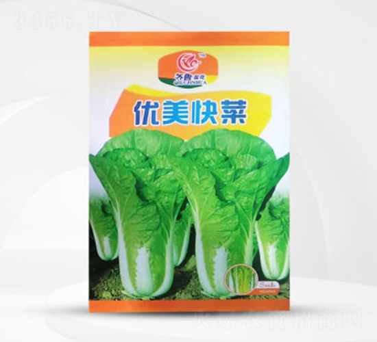 優(yōu)美快菜-白菜種子-偉銘種業(yè)