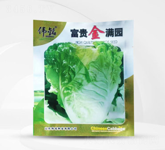 富貴金滿園-白菜種子-偉銘種業(yè)
