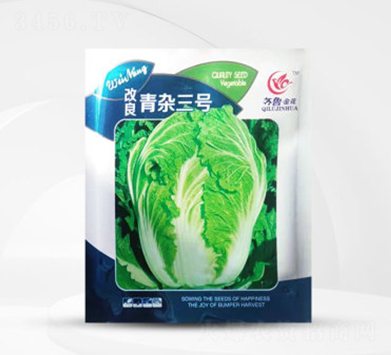 改良青雜三號-白菜種子-偉銘種業(yè)