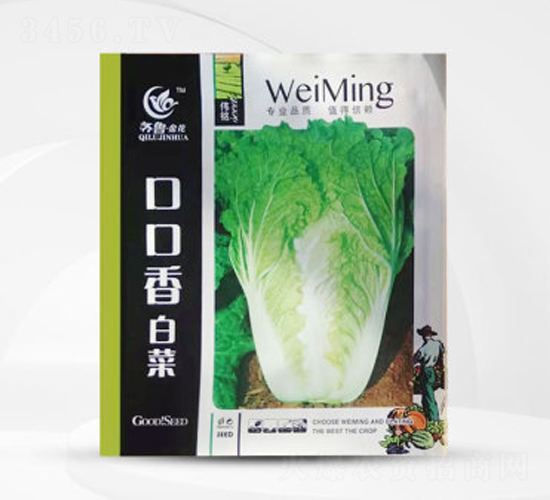 口口香白菜-白菜種子-偉銘種業(yè)