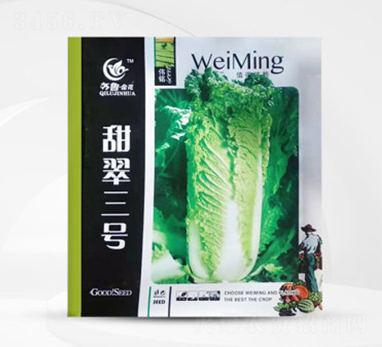 甜翠三號-白菜種子-偉銘種業(yè)