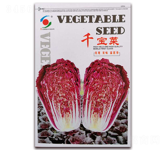 千寶菜-白菜種子-新世紀(jì)