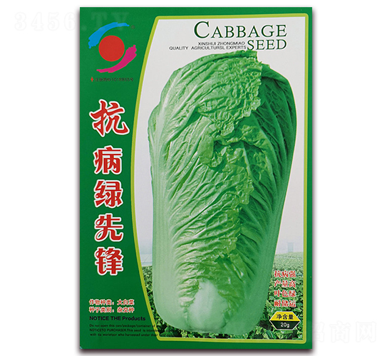 抗病綠先鋒-白菜種子-新世紀