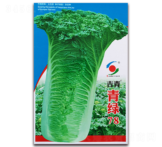 青綠78-白菜種子-新世紀(jì)