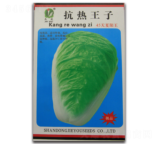 抗熱王子-白菜種子-杰優(yōu)種業(yè)
