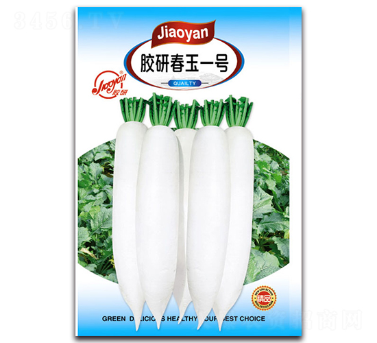 膠研春玉一號-蘿卜種子-膠研