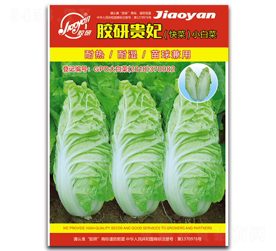 膠研貴妃快菜-小白菜種子-膠研