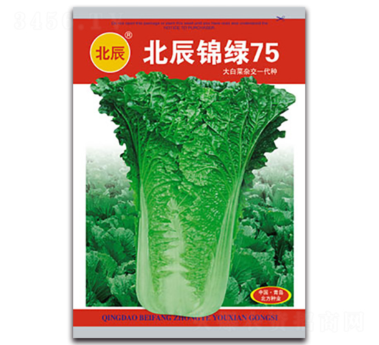 北辰錦綠75-遲白菜種子-北方種業(yè)