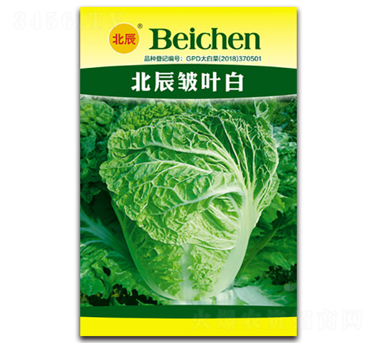 北辰皺葉白-大白菜種子-北方種業(yè)