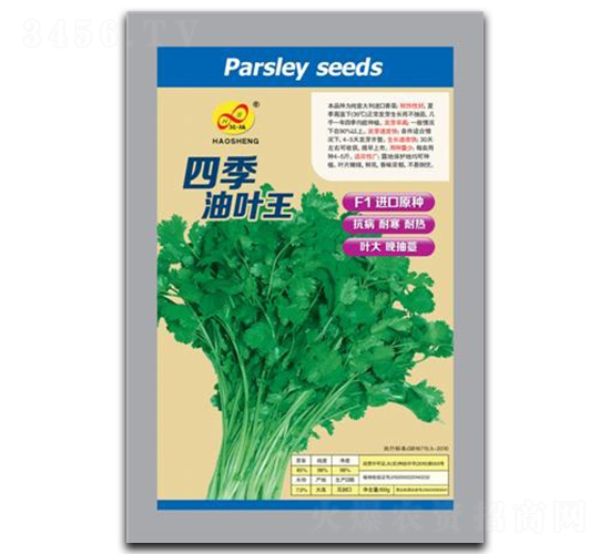 四季油葉王-香菜種子-昊晟種業(yè)