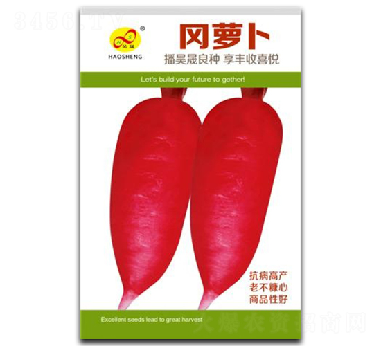 岡蘿卜-蘿卜種子-昊晟種業(yè)