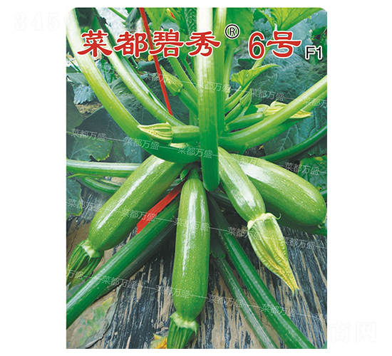 菜都碧秀6號(hào)-西葫蘆種子-菜都萬(wàn)盛