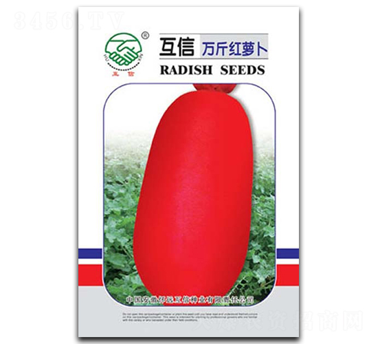 萬斤紅-蘿卜種子-億豪農(nóng)業(yè)