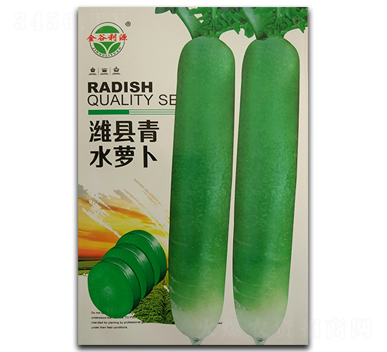 淮縣青水蘿卜-蘿卜種子-利源種業(yè)