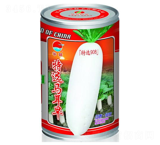特選馬爾早-白蘿卜種子-華農(nóng)種業(yè)