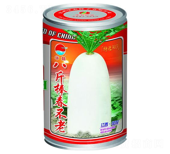八斤棒春不老-白蘿卜種子-華農種業(yè)