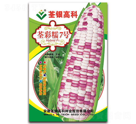 荃彩糯7號(hào)-糯玉米種子-荃銀瓜菜