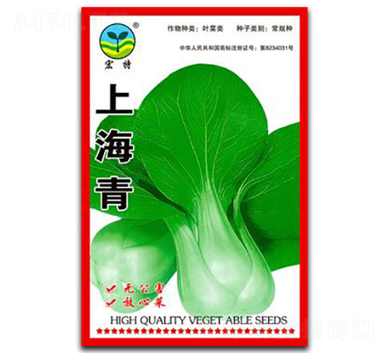 上海青-青梗菜種子-宏特