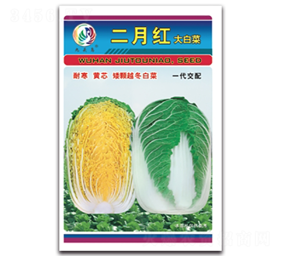 二月紅-大白菜種子-九頭鳥