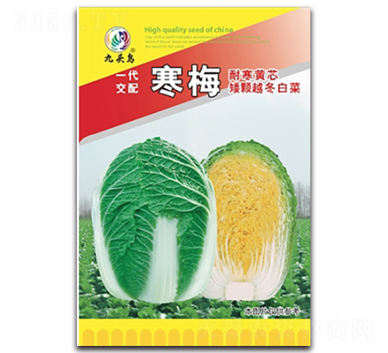 寒梅-大白菜種子-九頭鳥