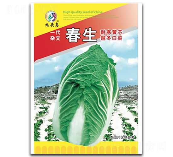 春生-大白菜種子-九頭鳥