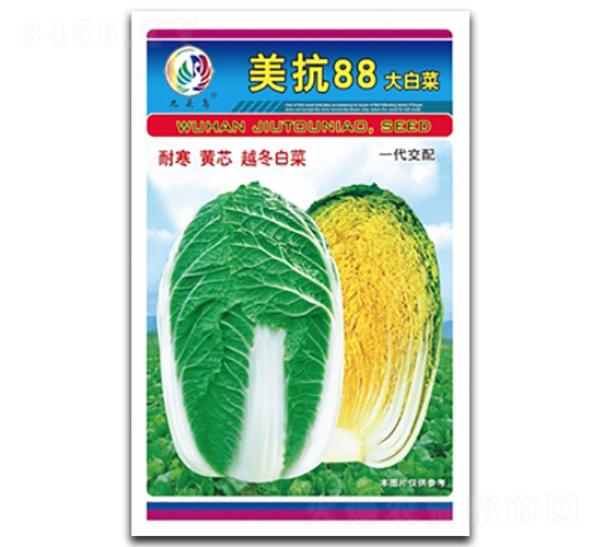 美抗88-大白菜種子-九頭鳥