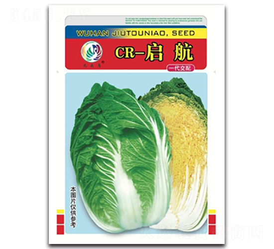 CR-啟航-大白菜種子-九頭鳥