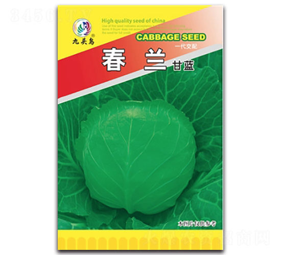 春蘭甘藍(lán)-甘藍(lán)種子-九頭鳥(niǎo)